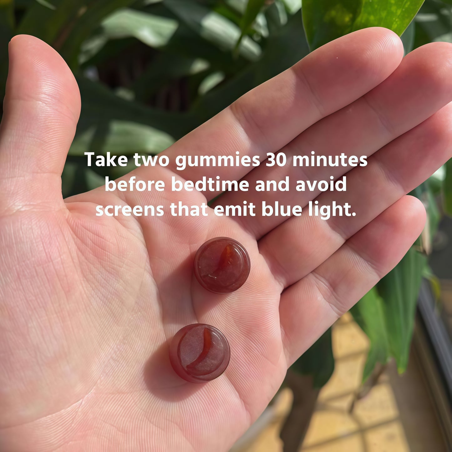 Sleep Gummies